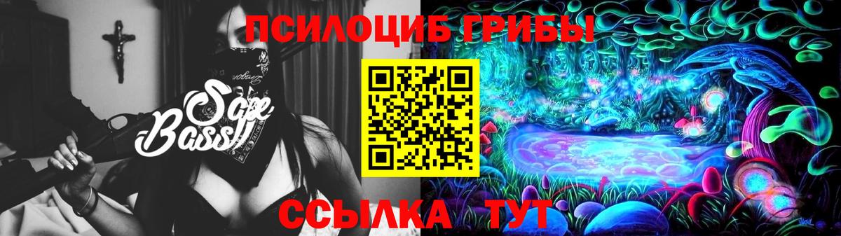 Псилоцибиновые грибы мицелий  Псилоцибиновые грибы мицелий  магазин  наркотиков  Подольск  Вход с VPN 